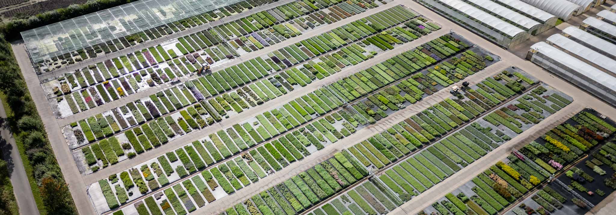 20250922-2025_Gruppenfoto_Schachtschneider_Manthey (167)